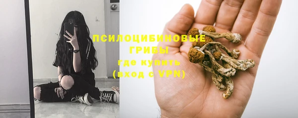герыч Белокуриха