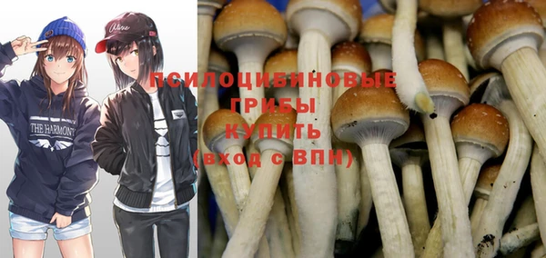 герыч Белокуриха