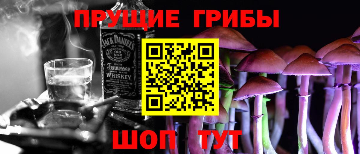 Псилоцибиновые грибы Psilocybe Дагестанские Огни