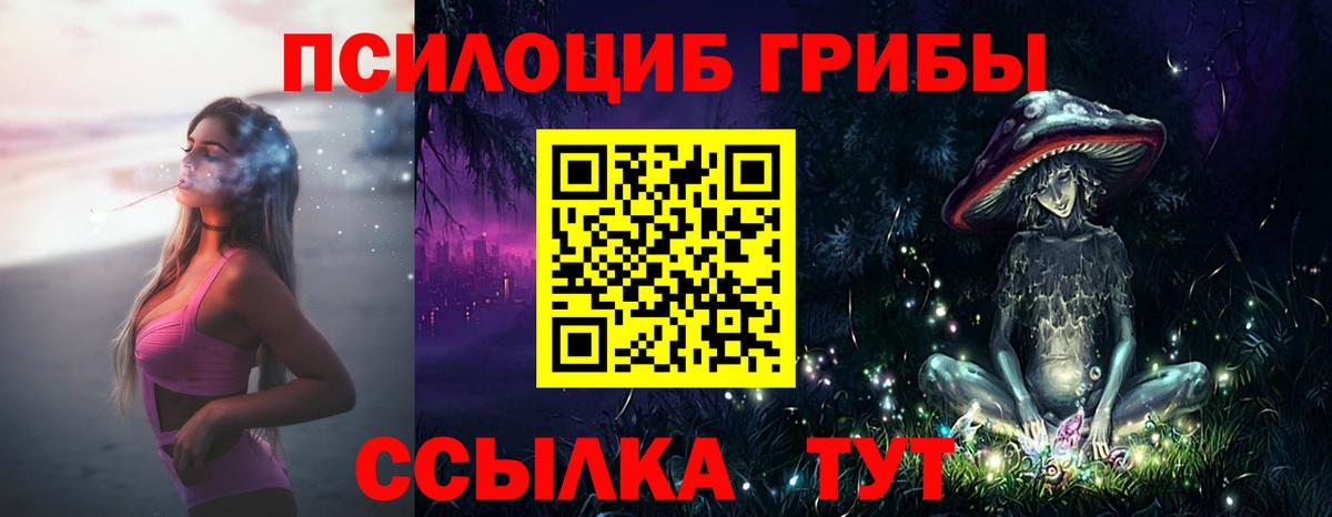 дарнет шоп  Вход с VPN  Дагестанские Огни  Псилоцибиновые грибы Psilocybe 